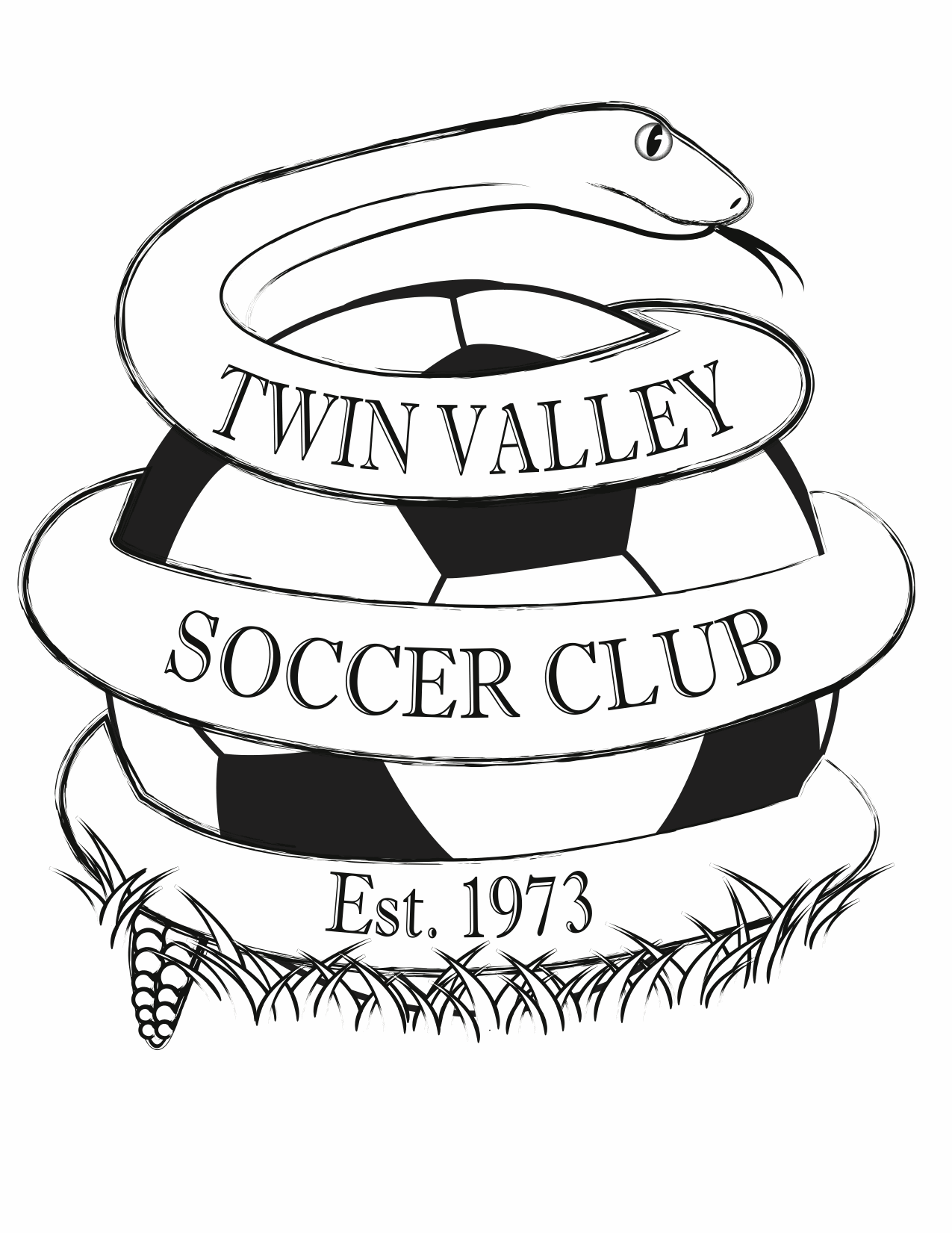 TVSC logo